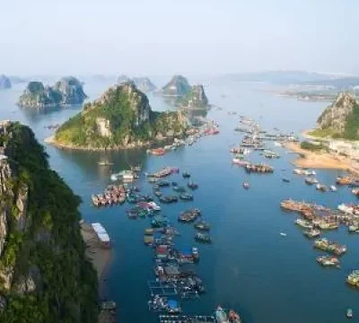 viet
