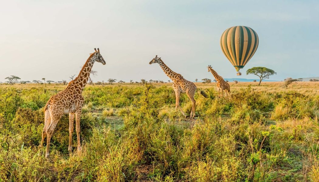 Golf & Safari Luxury – Tanzania
