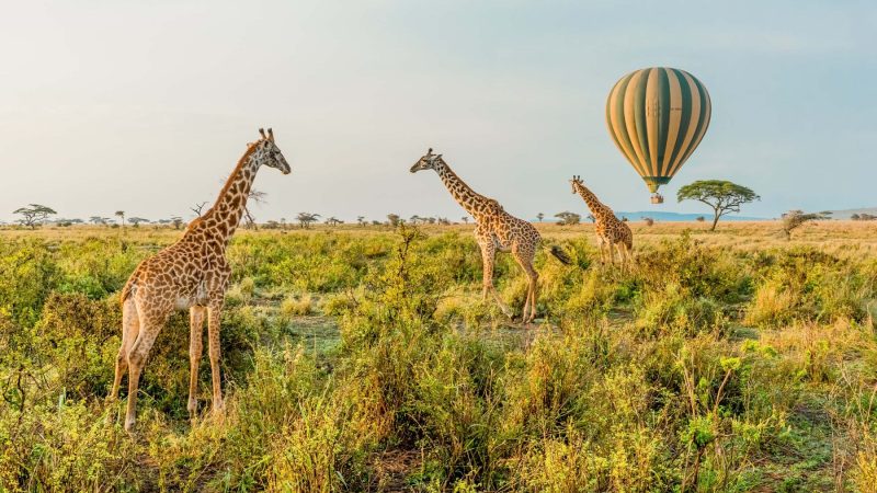 Golf & Safari Luxury – Tanzania