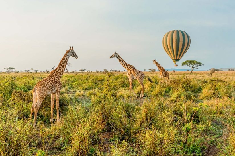 Golf & Safari Luxury – Tanzania