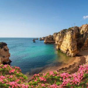 portugal bio