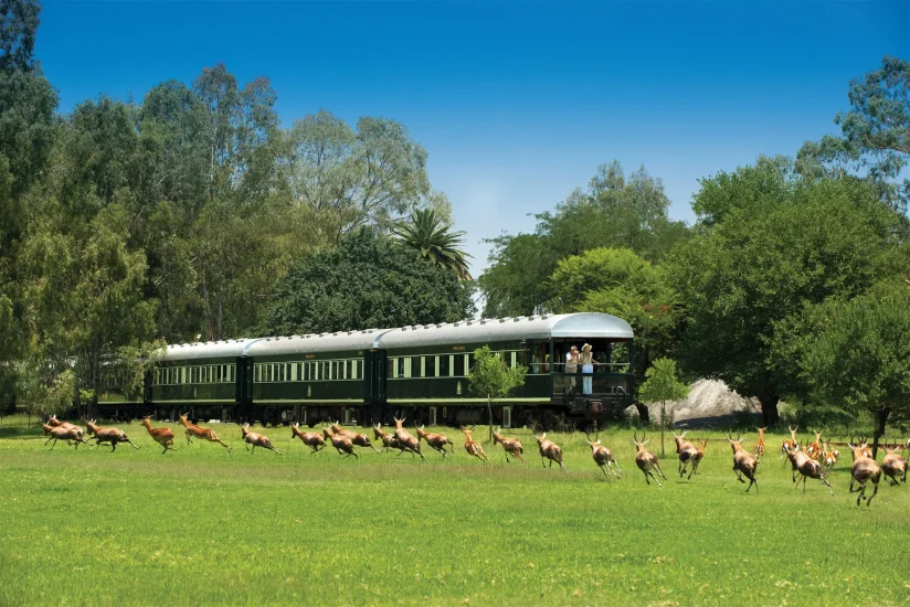 A Day on a Luxury Golf Train Tour