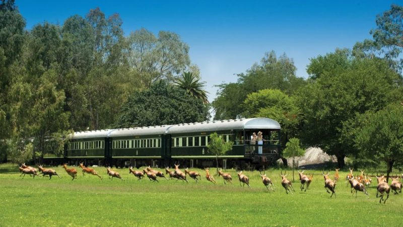 South Africa Golf Train Tour