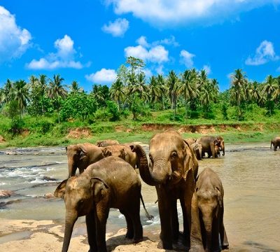 srilanka main