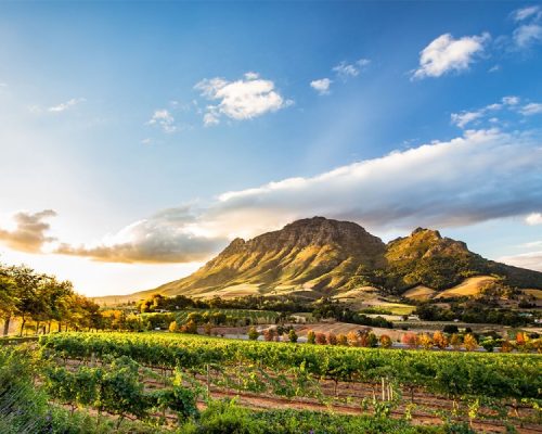Golf Wellness Retreat in South Africa