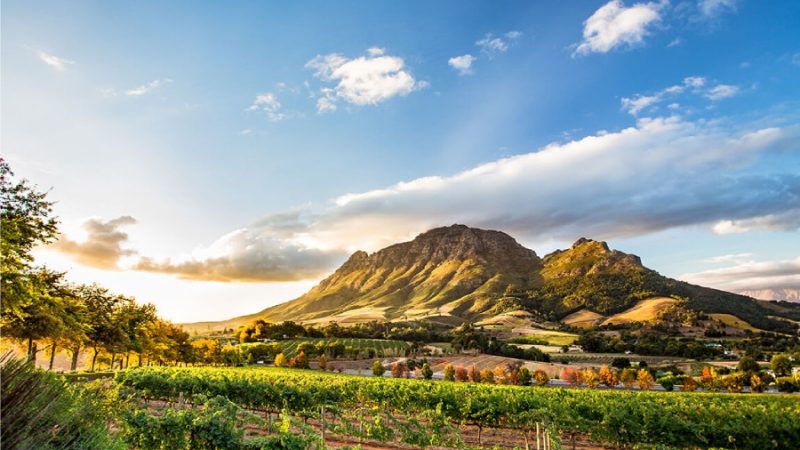 Golf Wellness Retreat in South Africa
