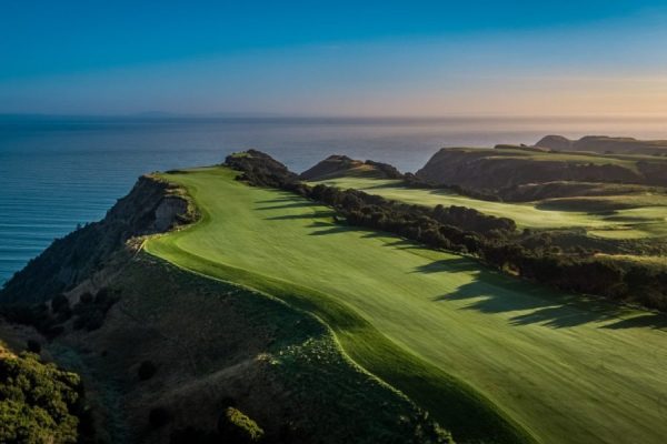 nz courses