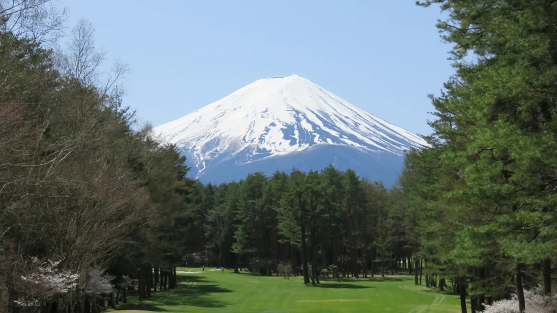 Tokyo, Hakone & Shizuoka Tour