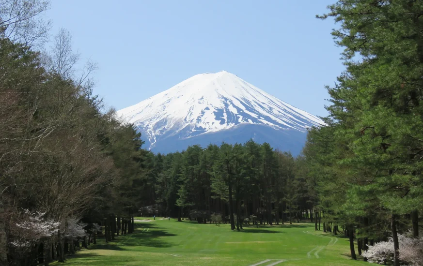 Tokyo, Hakone & Shizuoka Tour