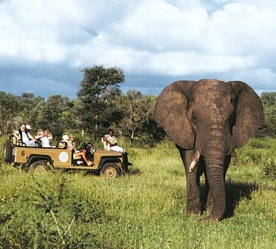 safrica