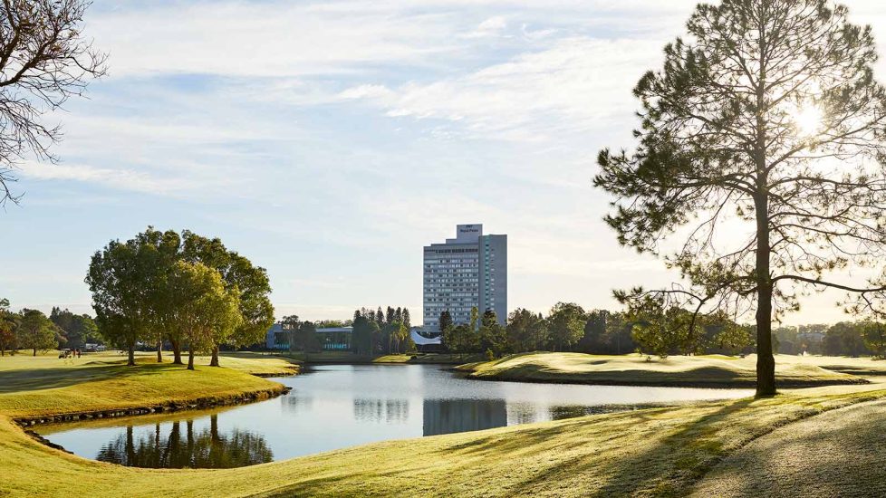 royal pines 1600x900