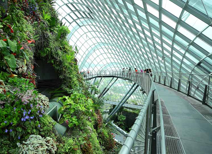 singapore3