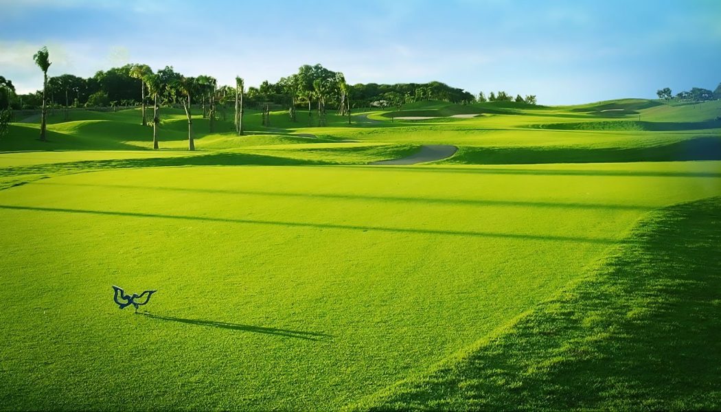 twin doves golf club